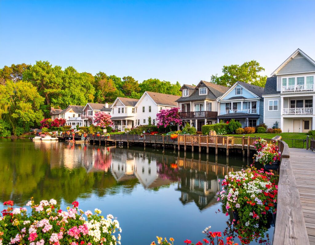 Firefly_lakewood Ohio 528135