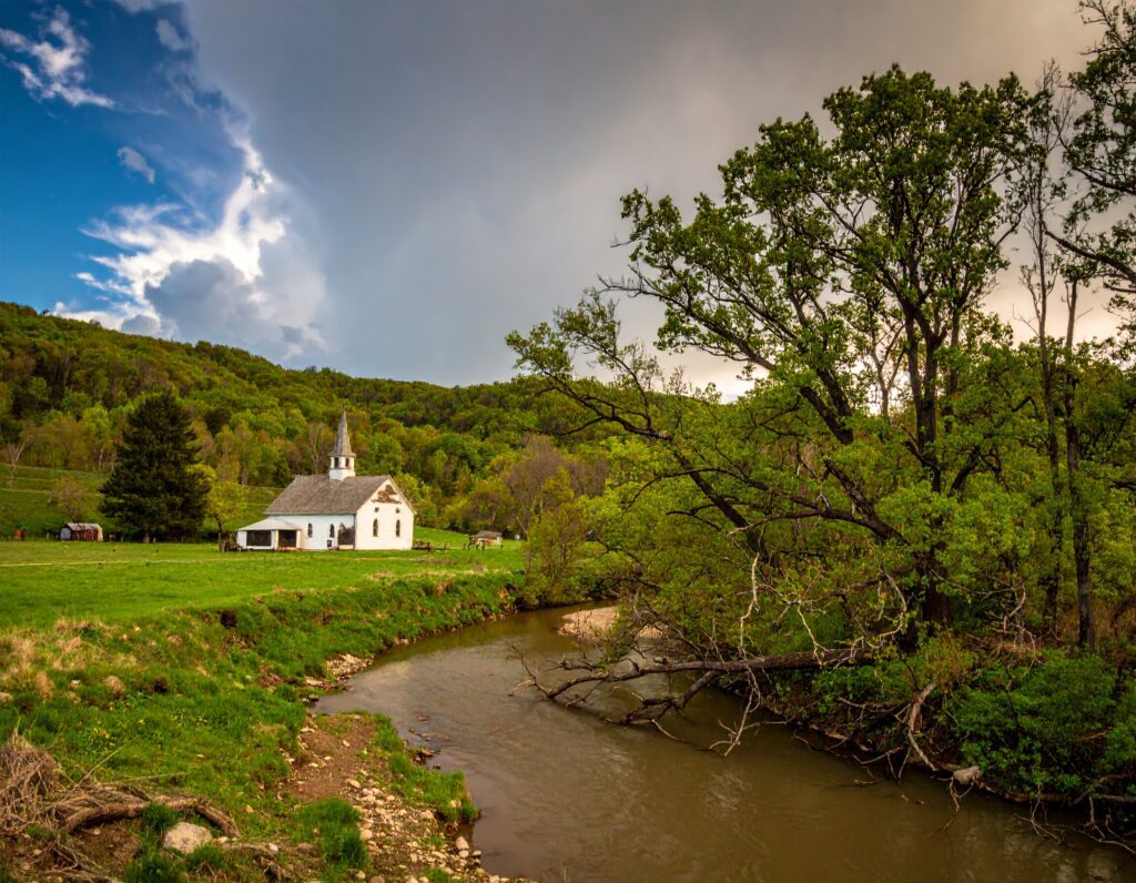 Firefly_lorain county Ohio 866560