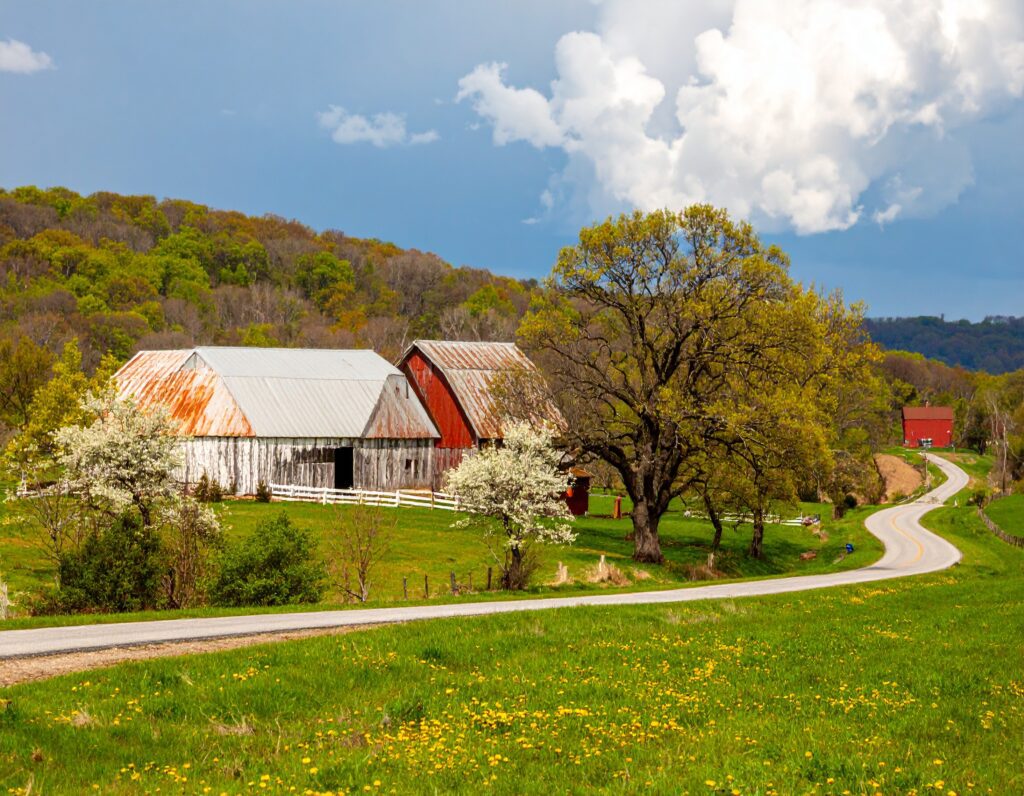 Firefly_media county Ohio 542000